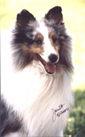 OTCH Dwalin Heartbeat of America UDX7 (IROC)