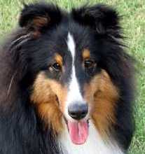 MACH Aynsworth Moonstorm (Stormy)