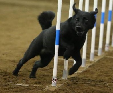 MACH Macy