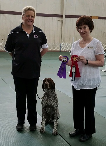 GCHB CH Yellow Rose's Crosby UD BN RAE MX MXB MXJ MJS MXP MJP XF T2B CGCA TKA